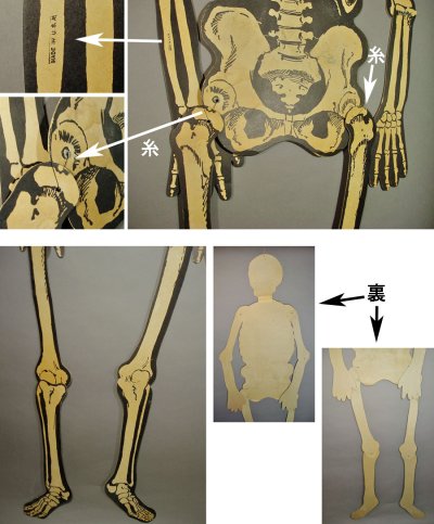 画像2: 【BIG !! - 身長141cm 】1950's Paper SKELETON