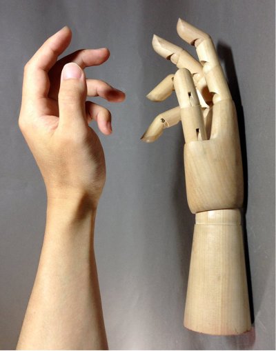 画像3:  "Mechanical" Wood Hand