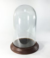画像1: French Display Dome Glass (1)