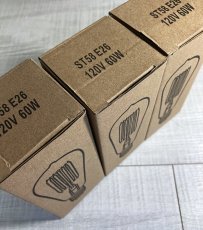 画像7: 【NEW】 "Edison" Filament  Bulbs  120V 60W  -＊ラスト1個＊- (7)