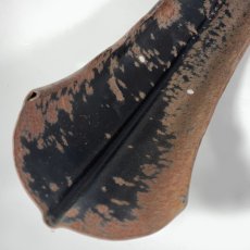 画像9: 1960's （たぶん）⚡️WASSELL⚡️ Ribbed Fender (9)